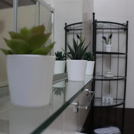 فندق مبيت وإفطار Momy 3*